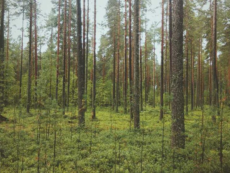 LINE电脑版安装包损坏